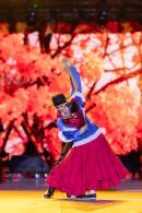 Fiesta del chamam�: Postales de la tercera noche