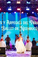 Fiesta del chamam�: Postales de la tercera noche