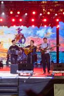 Fiesta del chamam�: Postales de la tercera noche