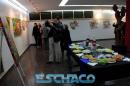 Ciclo de Muestras de Artistas Plsticos regionales en la UTN