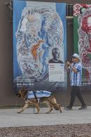 Finde en la Bienal