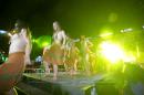 Chamame26: Sptima noche