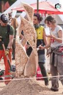 BIENAL DEL CHACO: EL PBLICO YA PUEDE VOTAR POR SU ARTISTA FAVORITO O FAVORITA