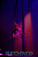El tesoro, Una aventura de Piratas.-Circo DAVIL