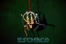 El tesoro, Una aventura de Piratas.-Circo DAVIL