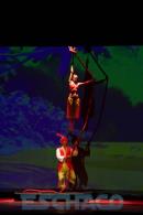 El tesoro, Una aventura de Piratas.-Circo DAVIL