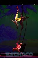 El tesoro, Una aventura de Piratas.-Circo DAVIL