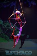 El tesoro, Una aventura de Piratas.-Circo DAVIL