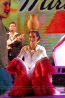 Chamame26: Novena noche
