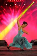 #ADN CHAMAM 27: Noche II