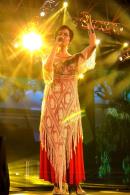 #ADN CHAMAM 27: Noche III