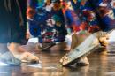 Experiencia Chamam: Postales de la noche final