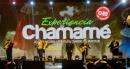 Experiencia Chamam: Postales de la noche final