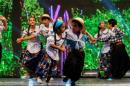 Experiencia Chamam: Postales de la noche final