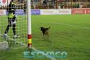Copa Argentina: Independiente elimin a Boca Unidos