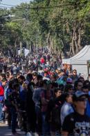 Festividad de Santa Rita
