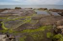ESCHACO en Mar del Plata