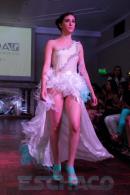 Translucencia, MODA UP  2014