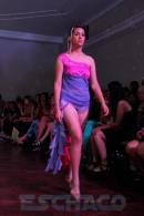Translucencia, MODA UP  2014