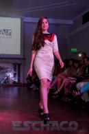 Translucencia, MODA UP  2014