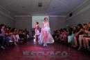 Translucencia, MODA UP  2014