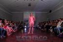 Translucencia, MODA UP  2014