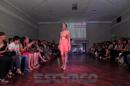 Translucencia, MODA UP  2014