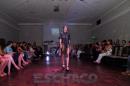 Translucencia, MODA UP  2014