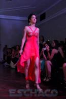 Translucencia, MODA UP  2014