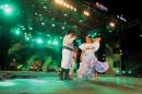 Cierre de la 26Fiesta Nacional del Chamam