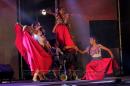 Cierre de la 26Fiesta Nacional del Chamam