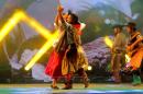 Cierre de la 26Fiesta Nacional del Chamam