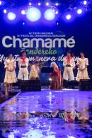 Noche de figuras estelares del Chamam