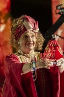 El Cocomarola late en su s�ptima noche chamamecera