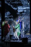 El Cocomarola late en su s�ptima noche chamamecera