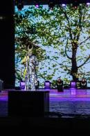 El Cocomarola late en su s�ptima noche chamamecera