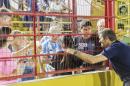 Copa Argentina: Racing vs. San Martn de Formosa