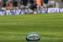 Amistoso Internacional Los Pumas-Escocia en Resistencia
