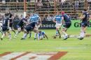 Amistoso Internacional Los Pumas-Escocia en Resistencia