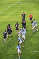 Amistoso Internacional Los Pumas-Escocia en Resistencia