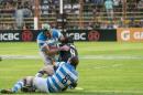 Amistoso Internacional Los Pumas-Escocia en Resistencia