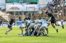 Amistoso Internacional Los Pumas-Escocia en Resistencia