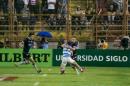 Amistoso Internacional Los Pumas-Escocia en Resistencia