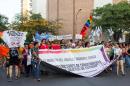 IX Marcha del Orgullo Disidente Chaco