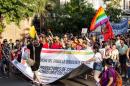 IX Marcha del Orgullo Disidente Chaco