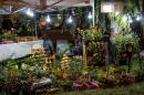 Feria de Emprendedores