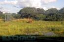 Excursin NMADE Resistencia-Cote lai