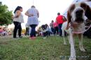 Jornada de Adopcin Responsable