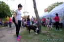 Jornada de Adopcin Responsable