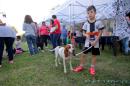 Jornada de Adopcin Responsable